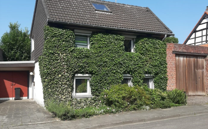 neu 8
