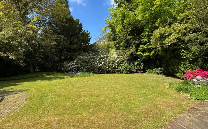 Blick in den Garten