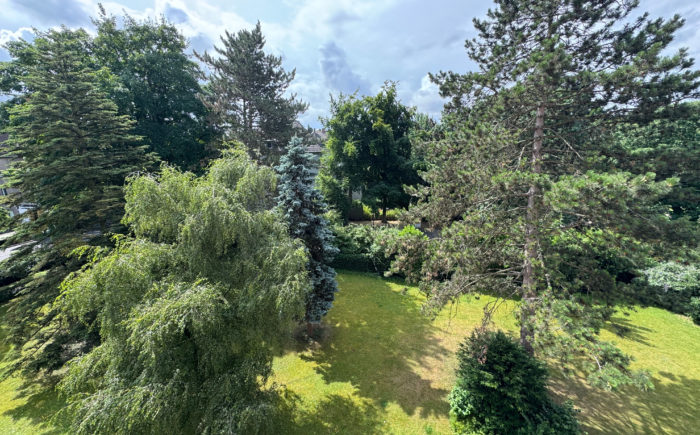 Ausblick