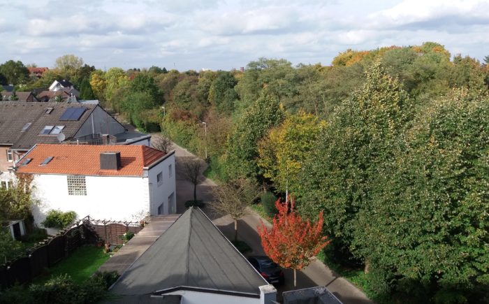 Ausblick